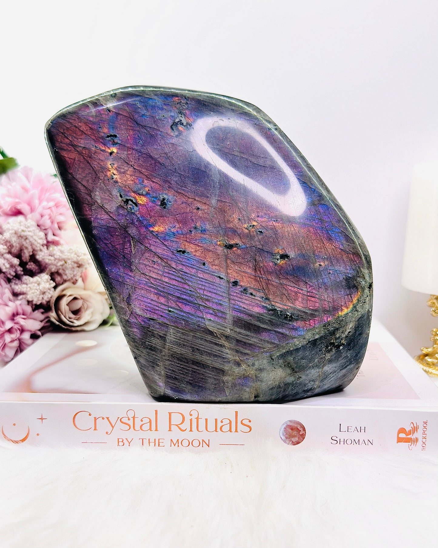 Fabulous Huge Labradorite Freeform 1.79KG with Hot Pink & Purple Flash
