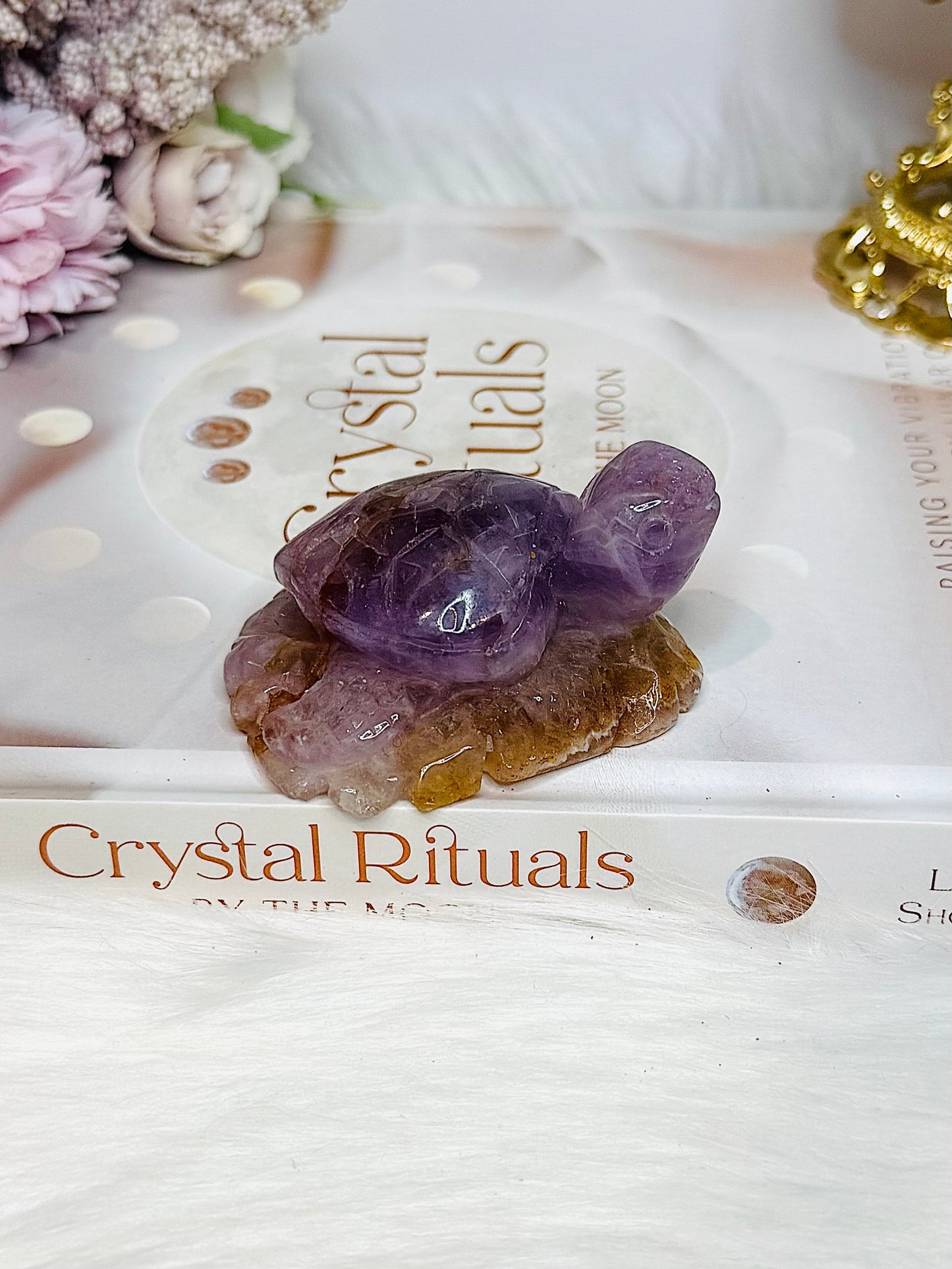 Amethyst X Agate Carved Turtle 7cm