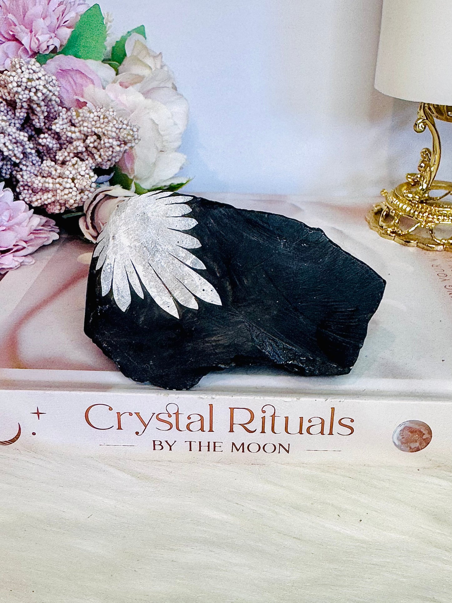 Natural Chunky Large Chrysanthemum Stone Formed Over 290 Million Years Ago 9cm