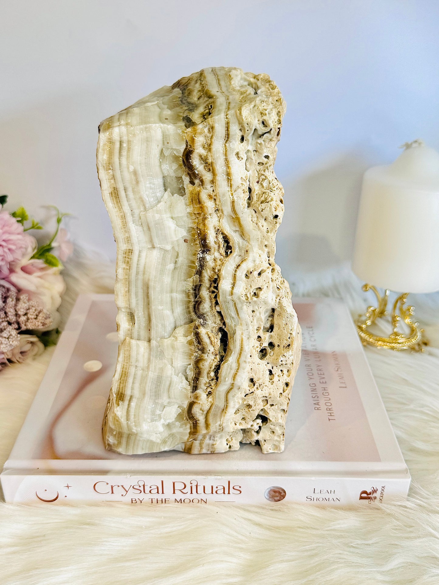 Huge Natural Aragonite Freeform | Slab 17cm Tall 2.7KG ~ Spectacle Piece