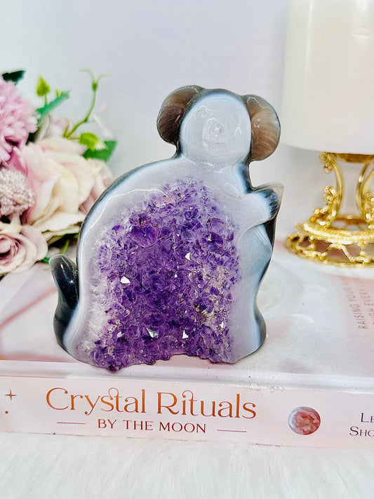 Druzy Agate Amethyst Carved Koala Bear 476grams