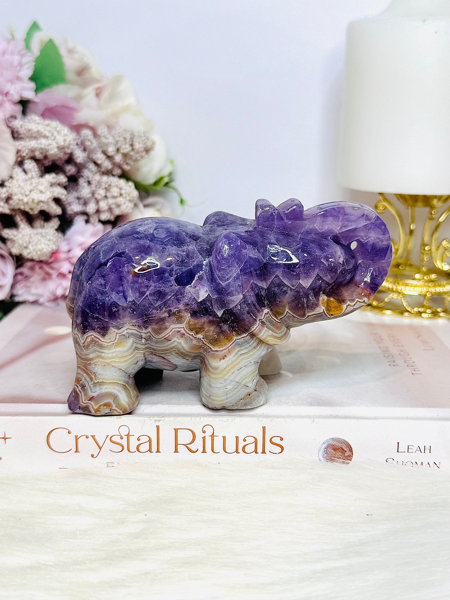 Amethyst X Mexican Lace Agate Elephant 12cm 430g
