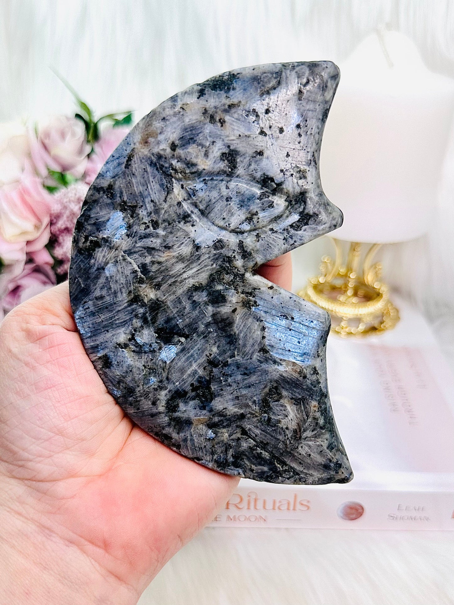 Incredible Large Larvikite Moon Carving Full of Blue Flash
