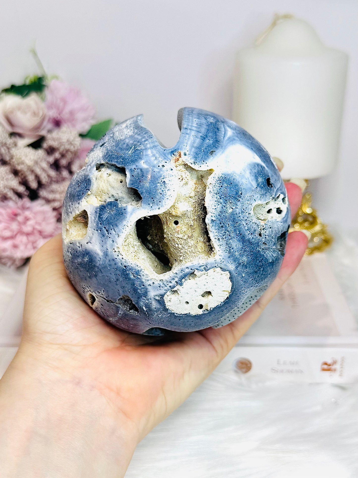Natural Blue Coral Fossil 824g