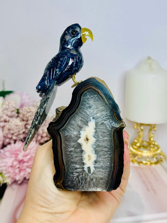 Large Blue Sodalite Carved Bird On Black Natural Agate Geode Freeform 15cm 437g