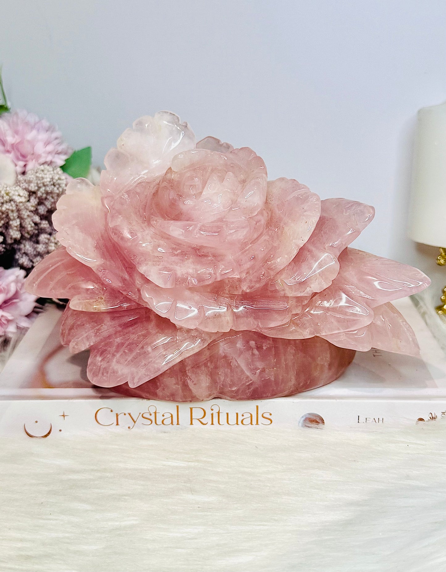 Huge Rose Quartz Carved Flower | Rose 1.4KG