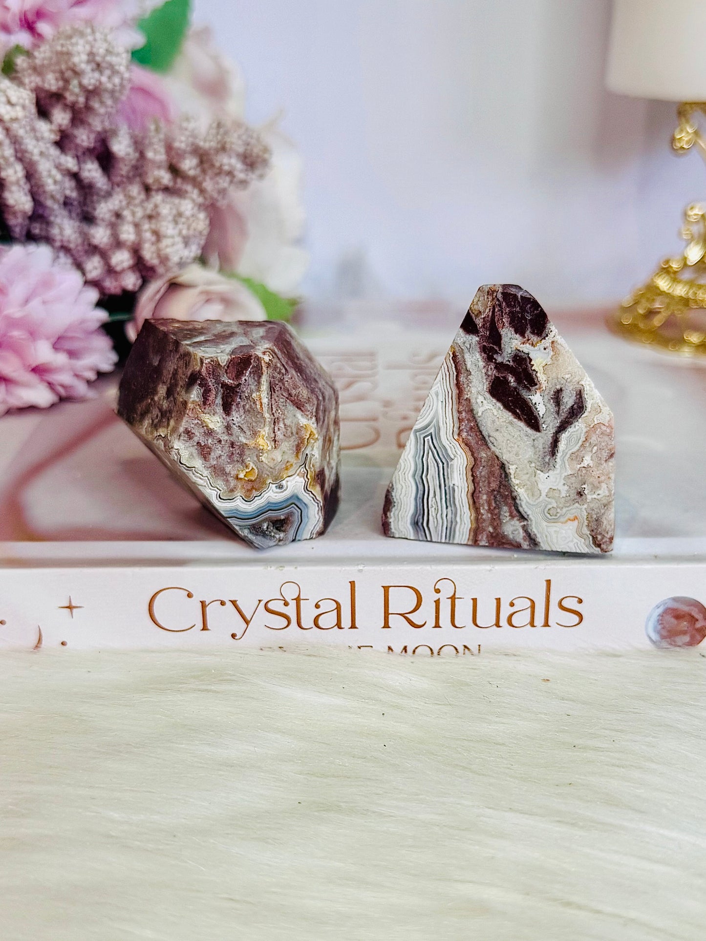 Stunning Natural Set of 2 Polished Mexican Lace Agate Freeforms