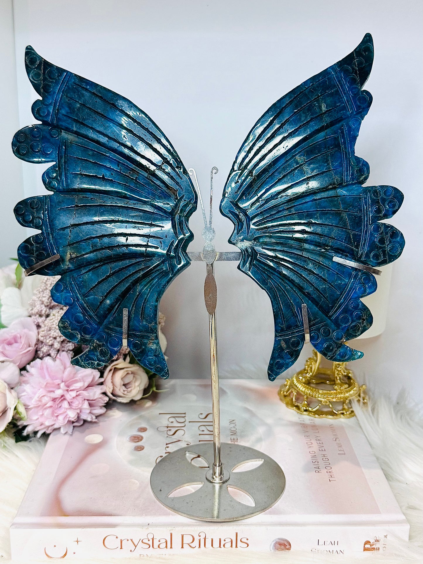 Blue Apatite Butterfly Wings on Stand 25cm ~ Discounted as right side wing has been repaired