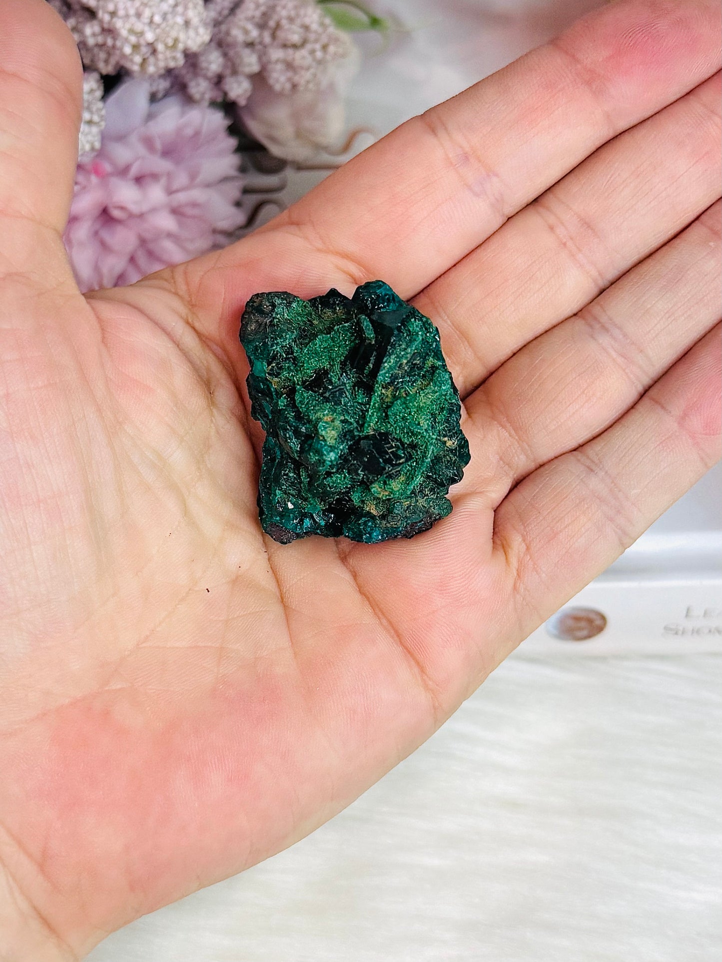 ⚜️ SALE ⚜️ Rare Natural Green Dioptase Specimen from Mashamba West Mine, Congo 4cm