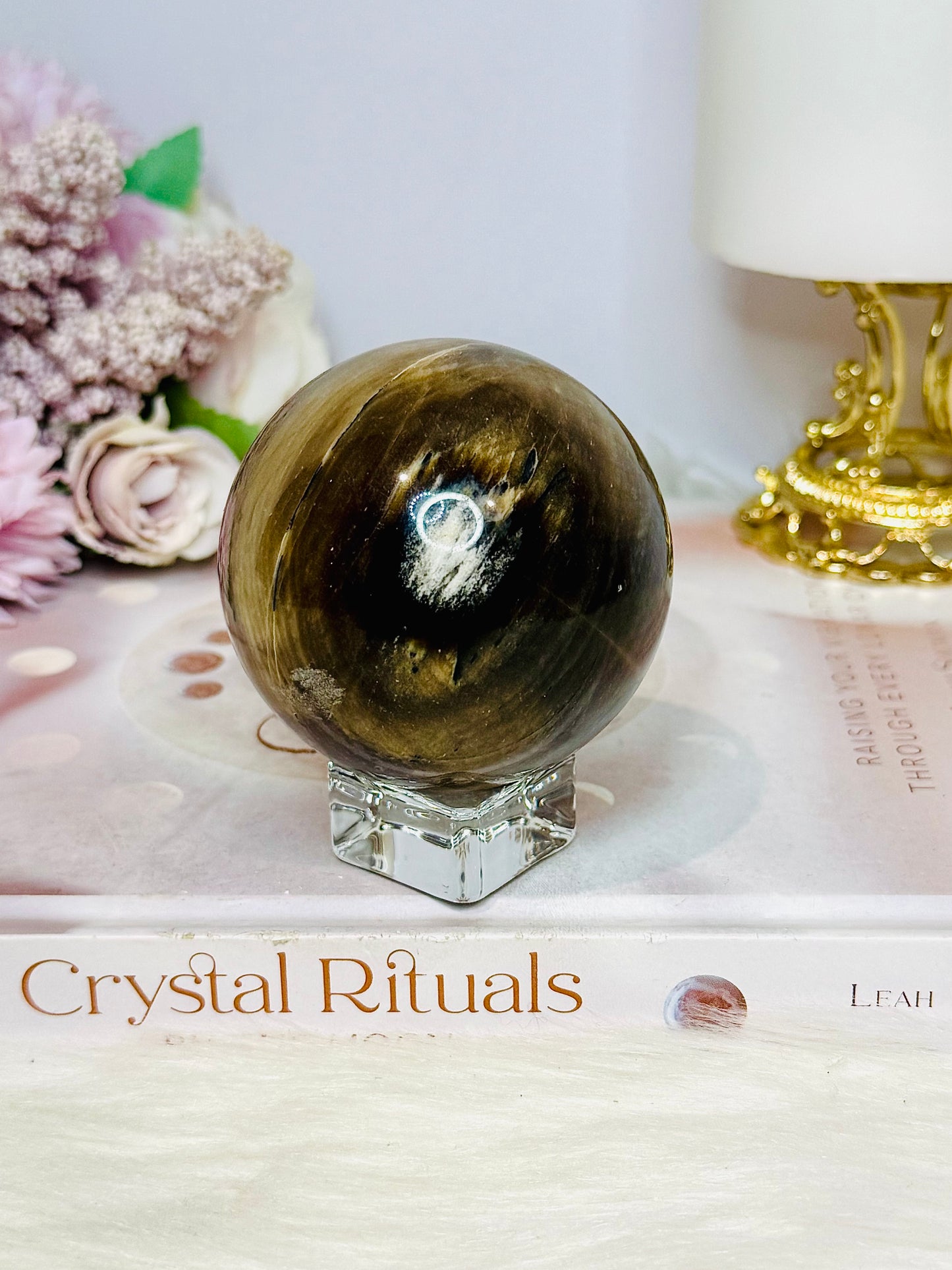 Petrified | Fossilised Wood Sphere on Stand 345g
