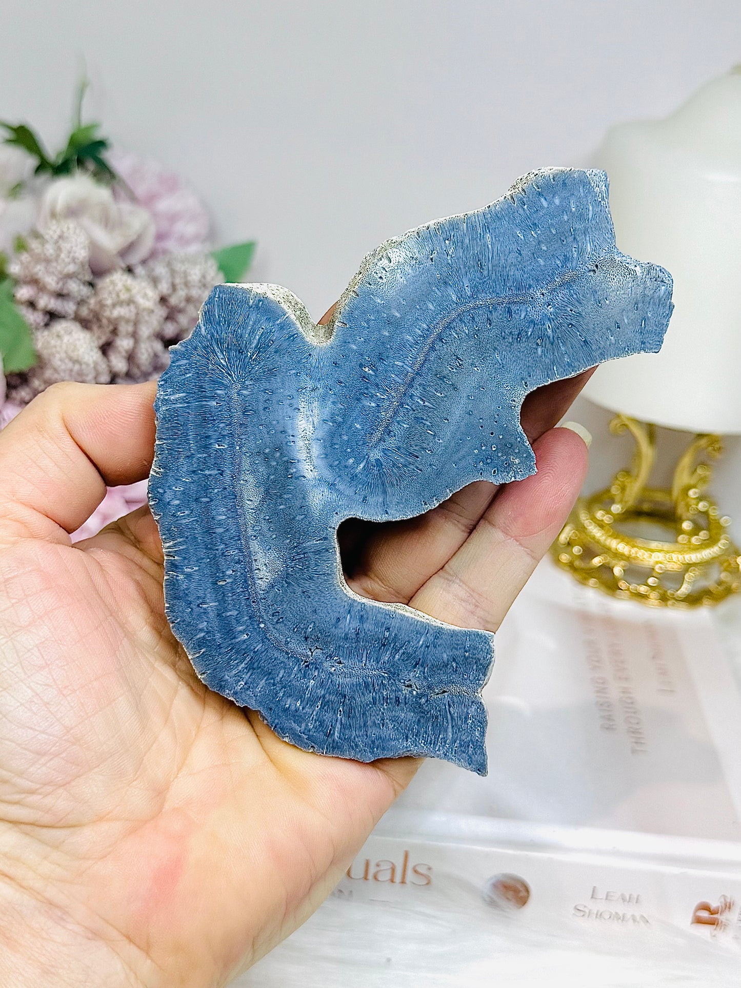 Blue Coral Fossil Specimen Slab on Stand 11.5cm