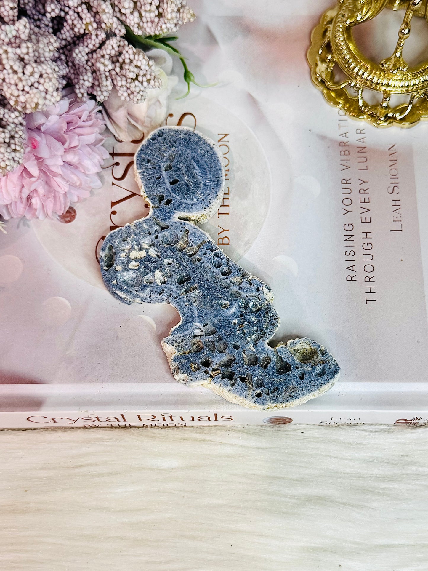 Natural Blue Fossilised Coral Vintage Skeleton Specimen 13cm