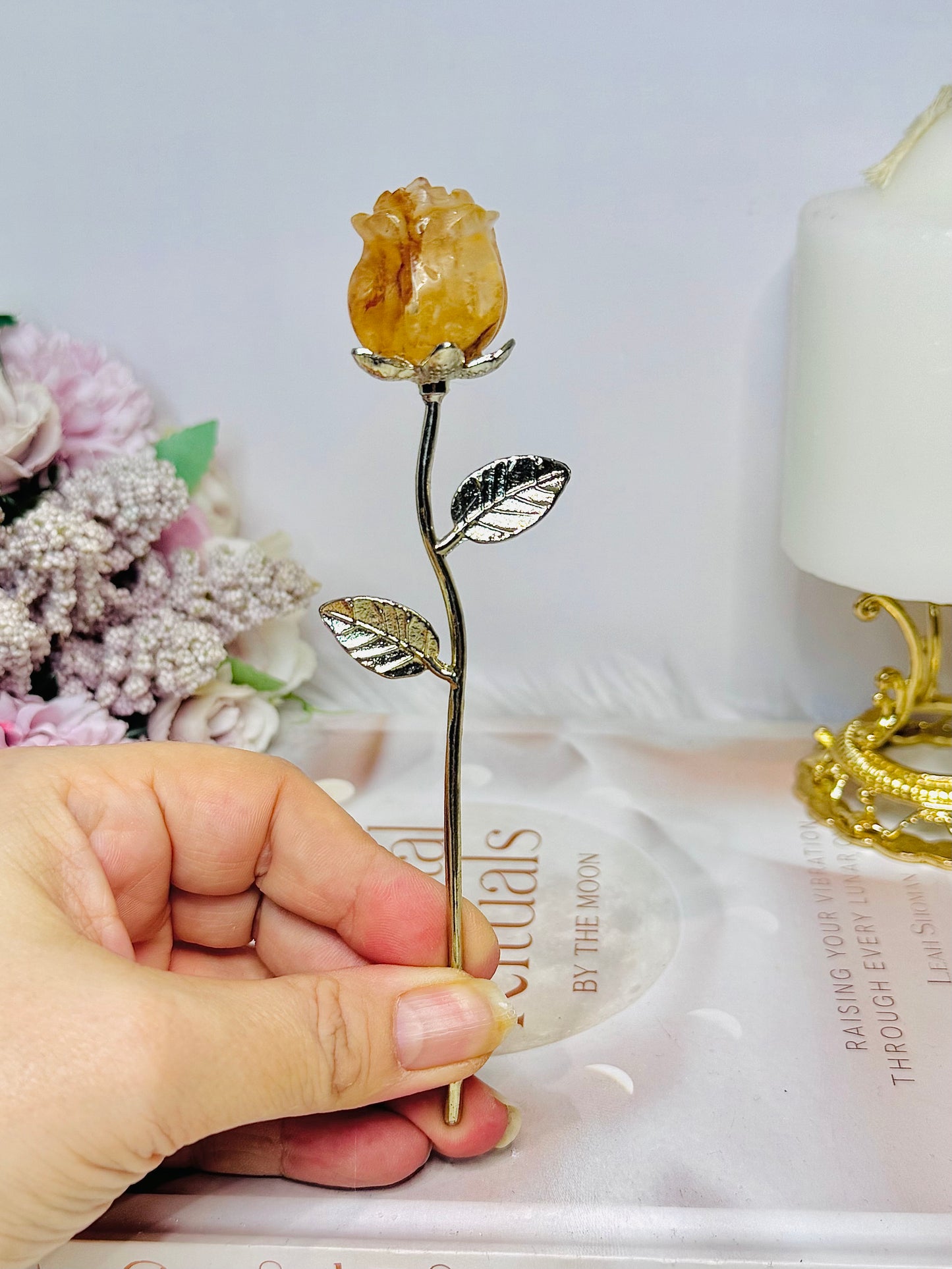 Golden Healer Forever Rose 15cm
