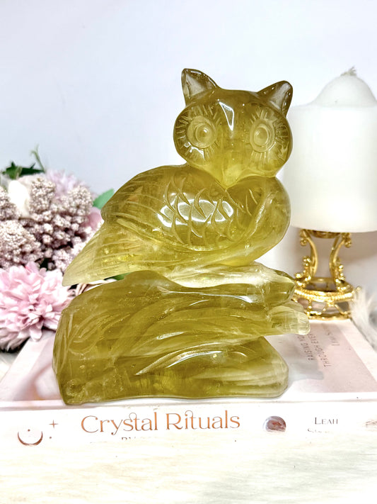 Huge 1.25KG Citrine Carved Owl 15cm