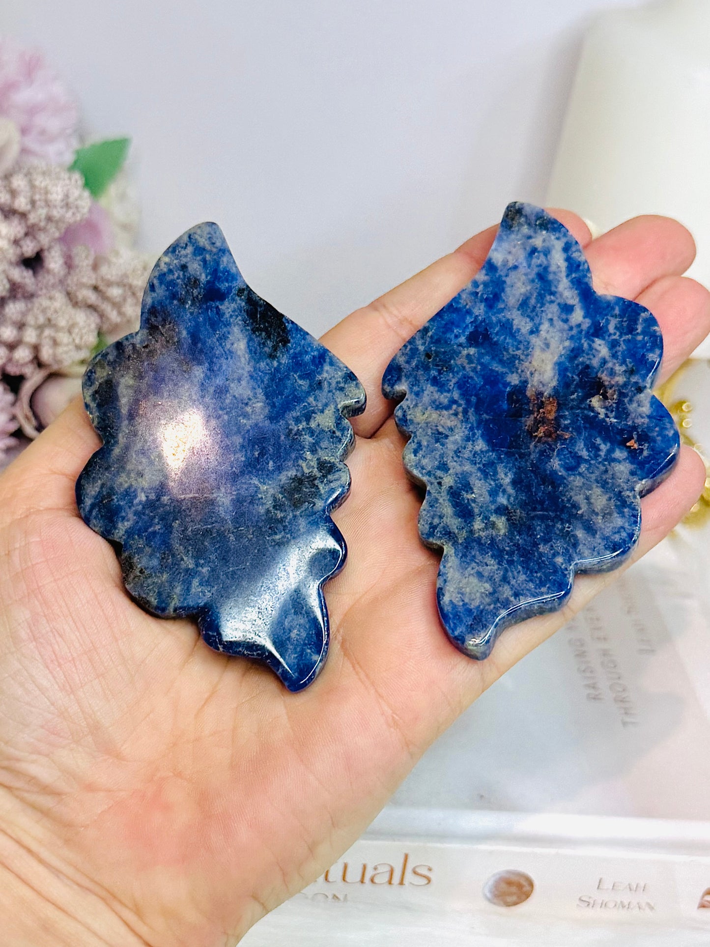 Lapis Lazuli Wings on Stand 9.5cm