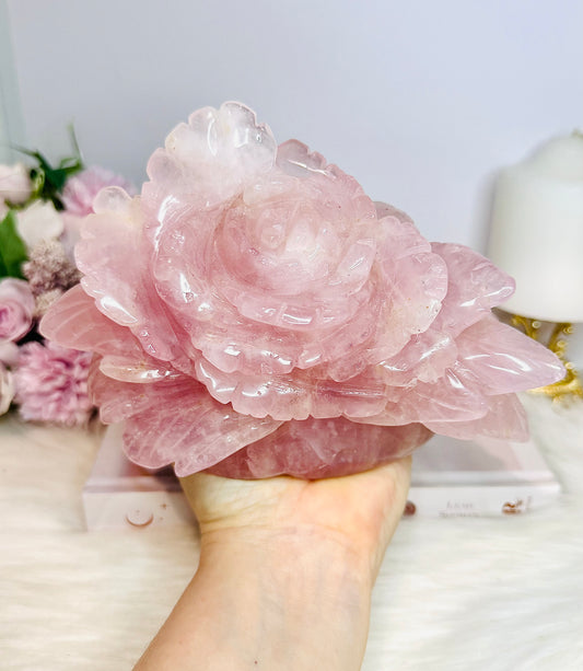 Huge Rose Quartz Carved Flower | Rose 1.4KG