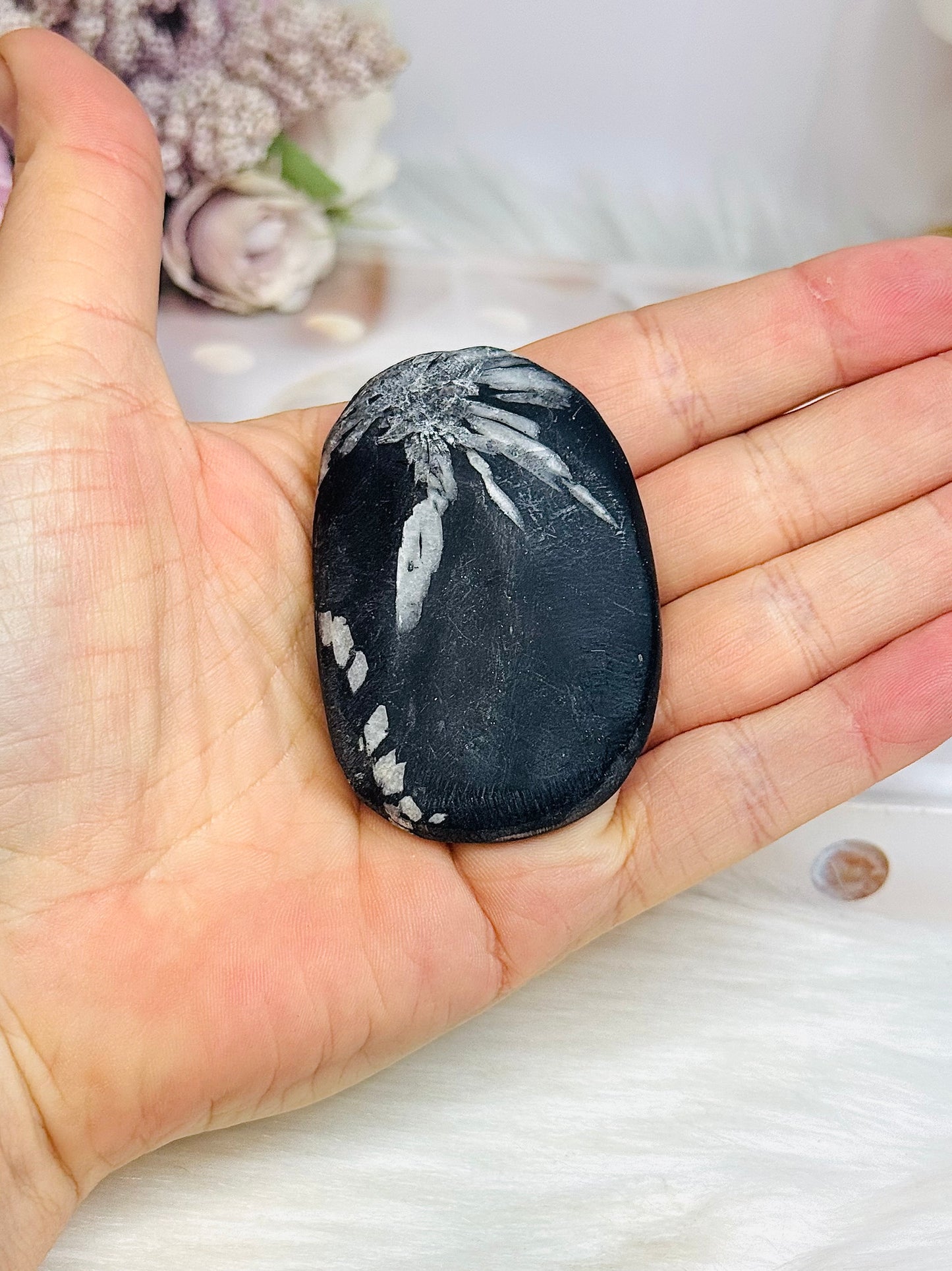 Natural Chrysanthemum Palm Stone (stand is display only)