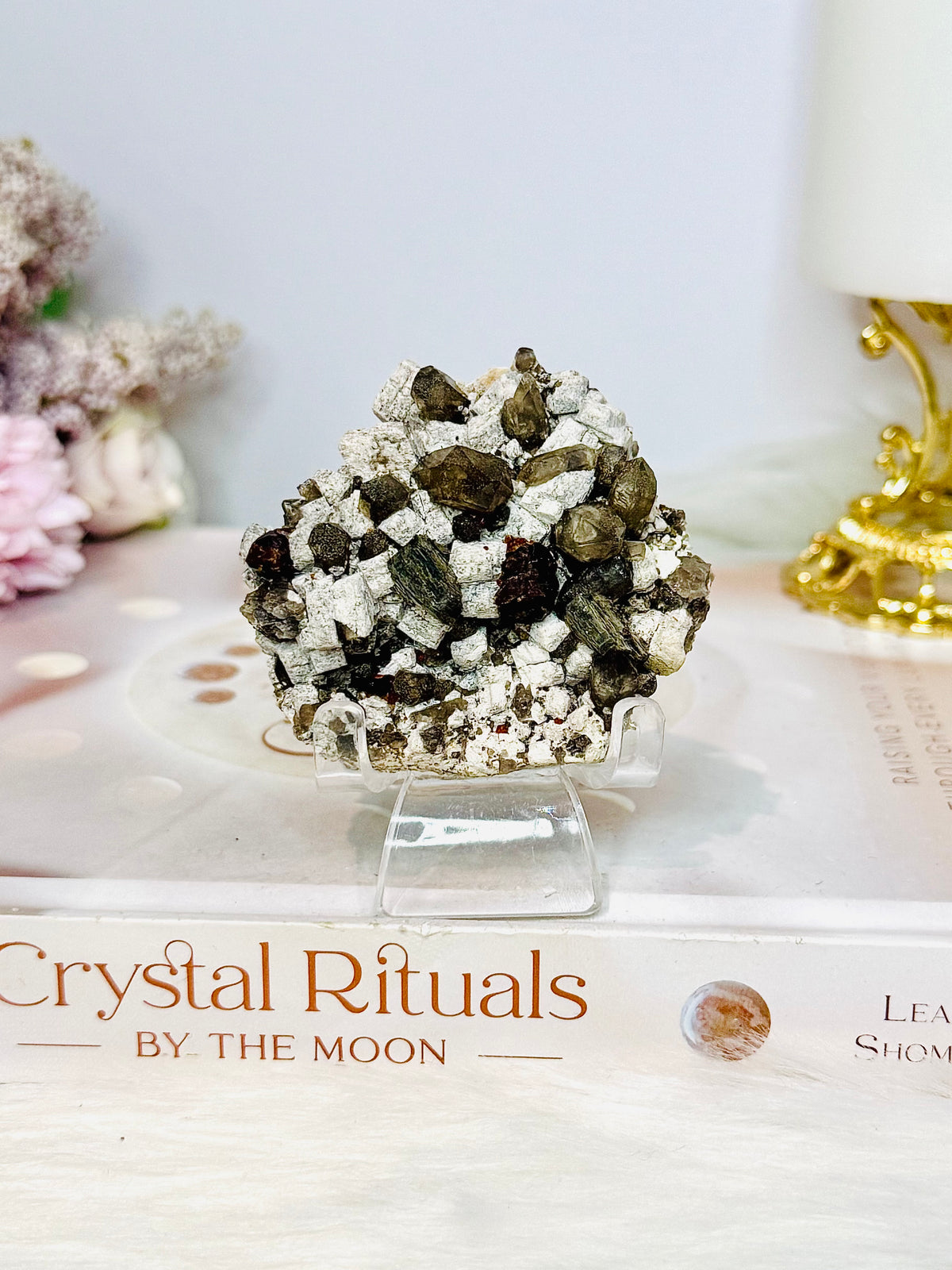 Smokey Quartz & Garnet on Matrix Specimen 6cm On Stand