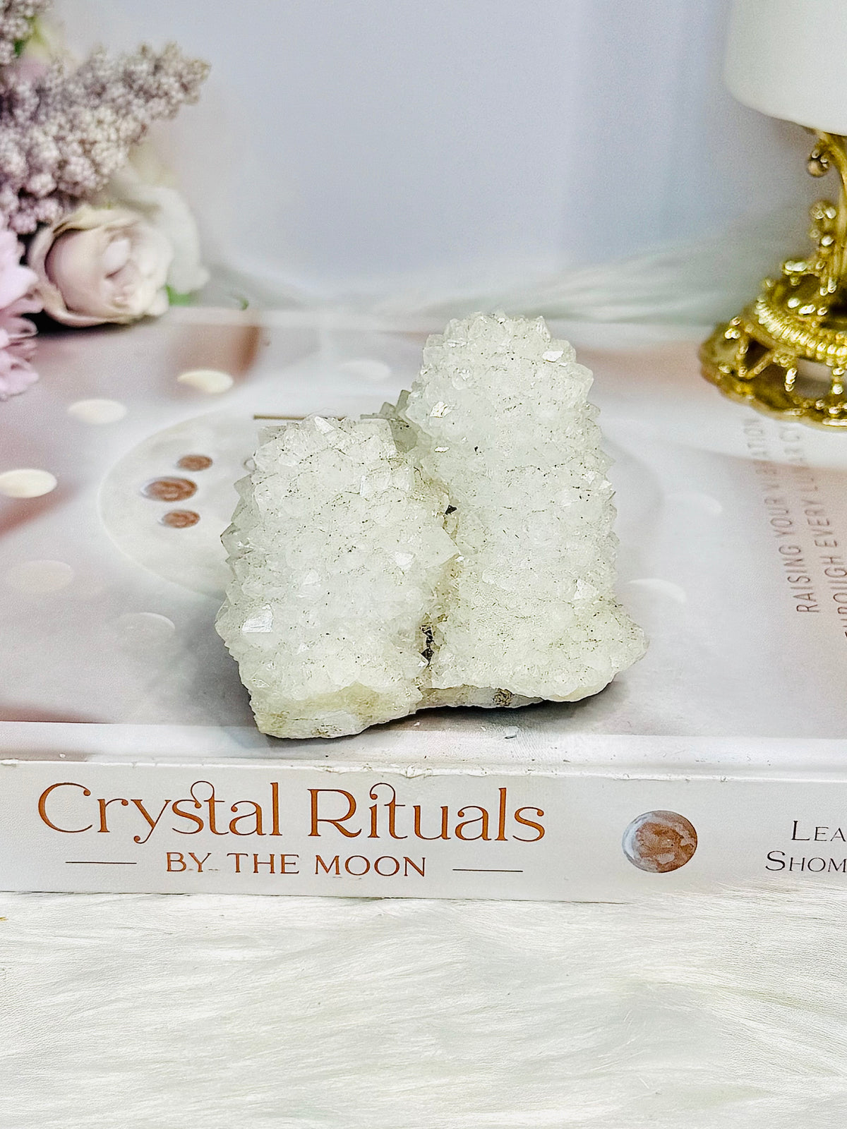 White Spirit | Cactus Quartz 222g