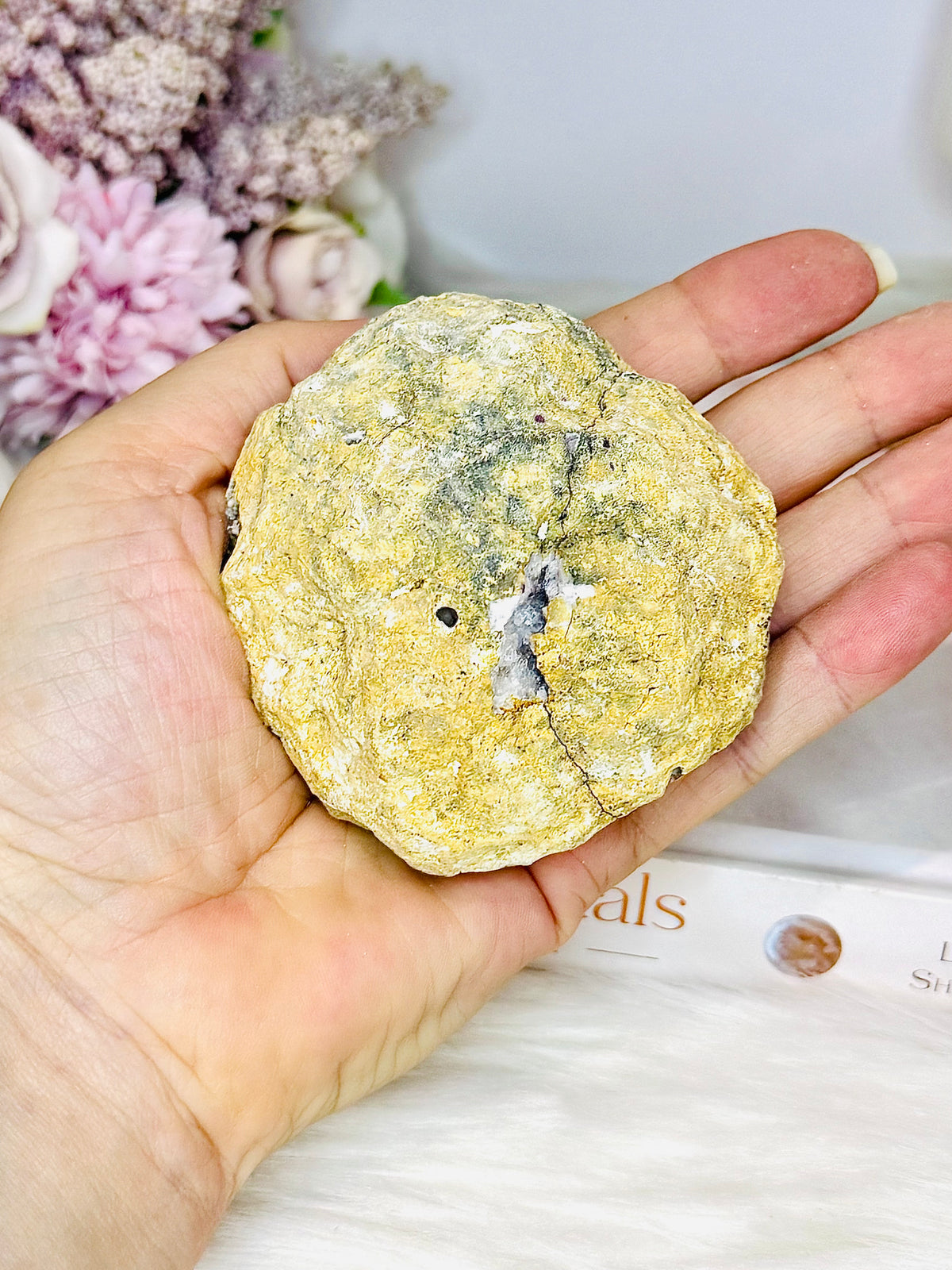 Aura Druzy Moroccan Geode (dyed) 201g