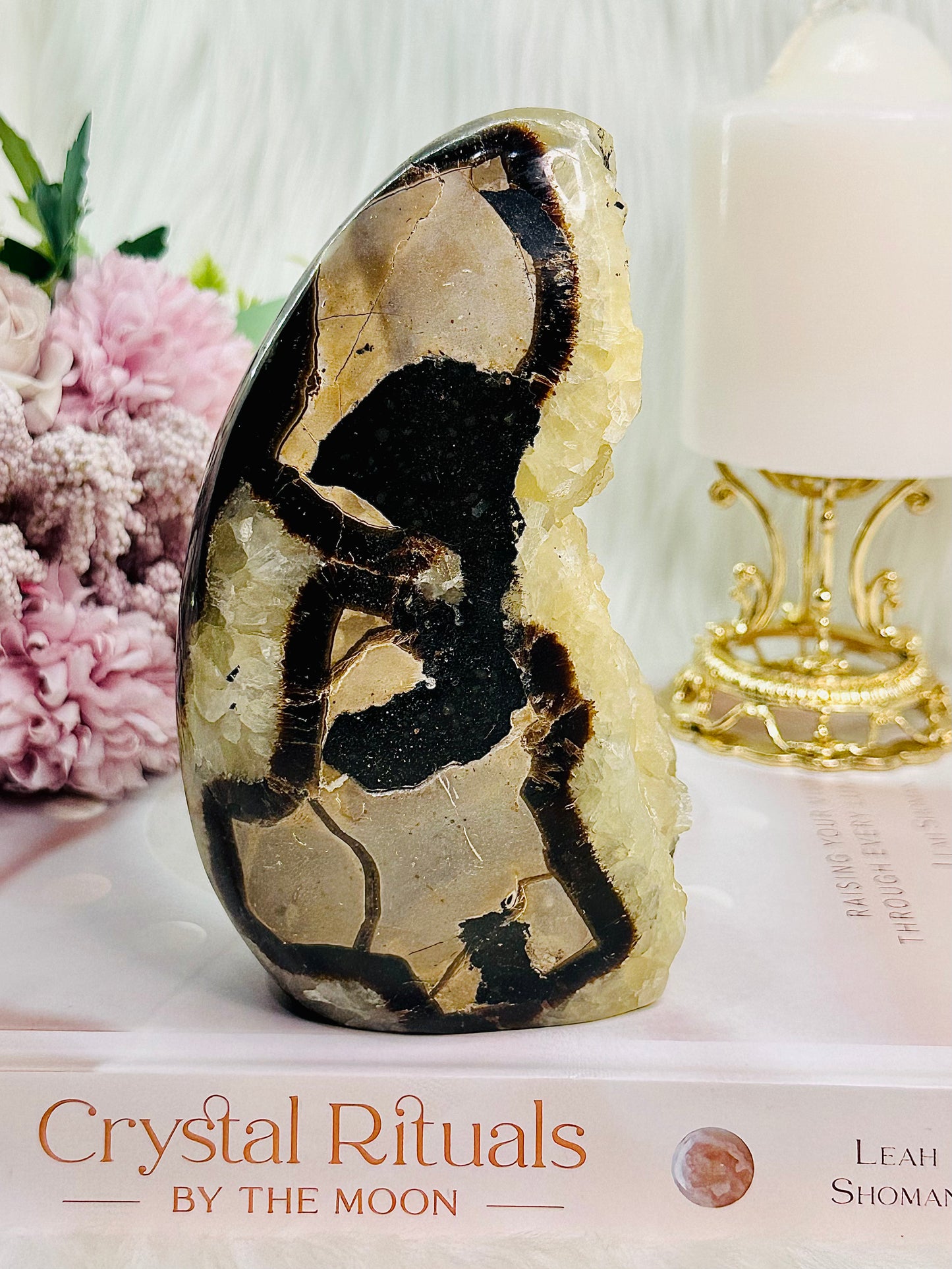 ⚜️ SALE ⚜️ Absolutely Gorgeous Large 890gram Druzy Septarian Specimen