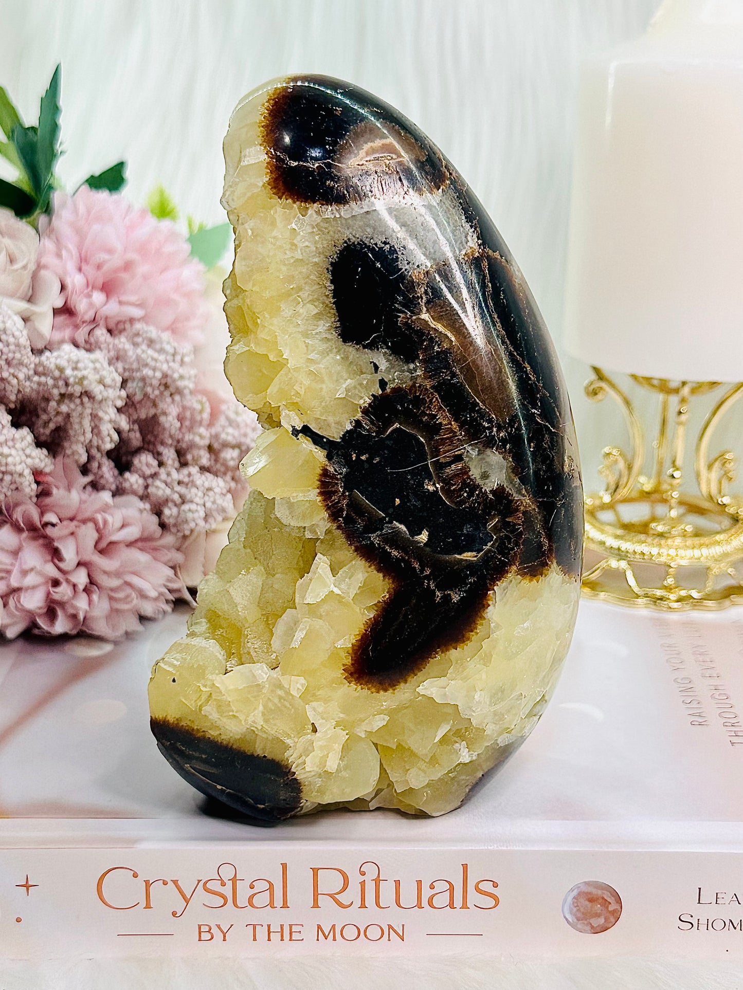 ⚜️ SALE ⚜️ Absolutely Gorgeous Large 890gram Druzy Septarian Specimen
