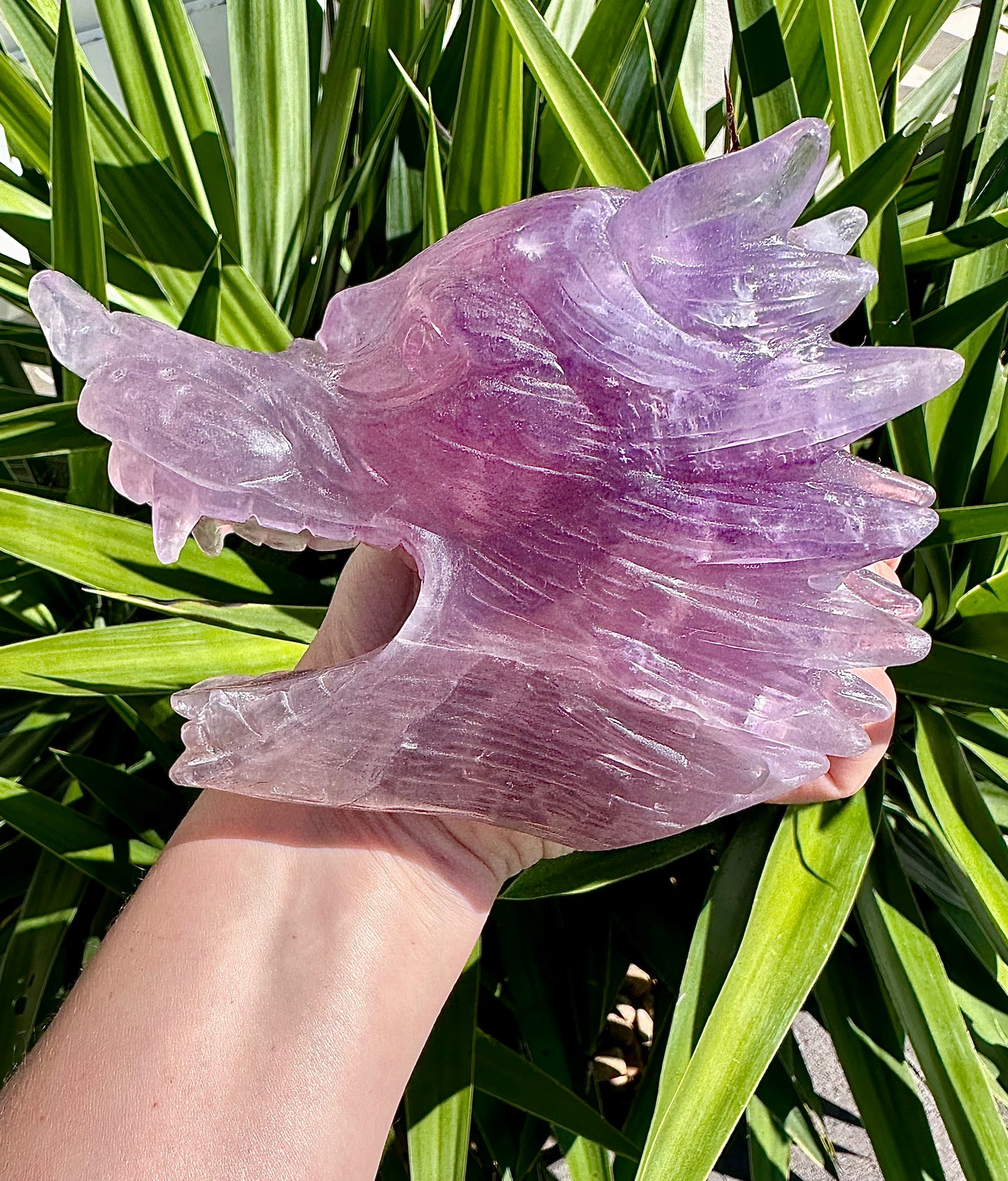 ⚜️ SALE ⚜️Absolutely Amazing & Perfect Huge 1.47Kg Purple Fluorite Wolf Head Carving with Rainbows & Clarity