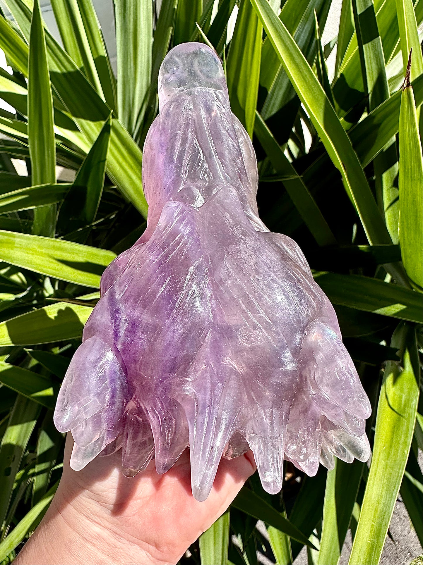 ⚜️ SALE ⚜️Absolutely Amazing & Perfect Huge 1.47Kg Purple Fluorite Wolf Head Carving with Rainbows & Clarity