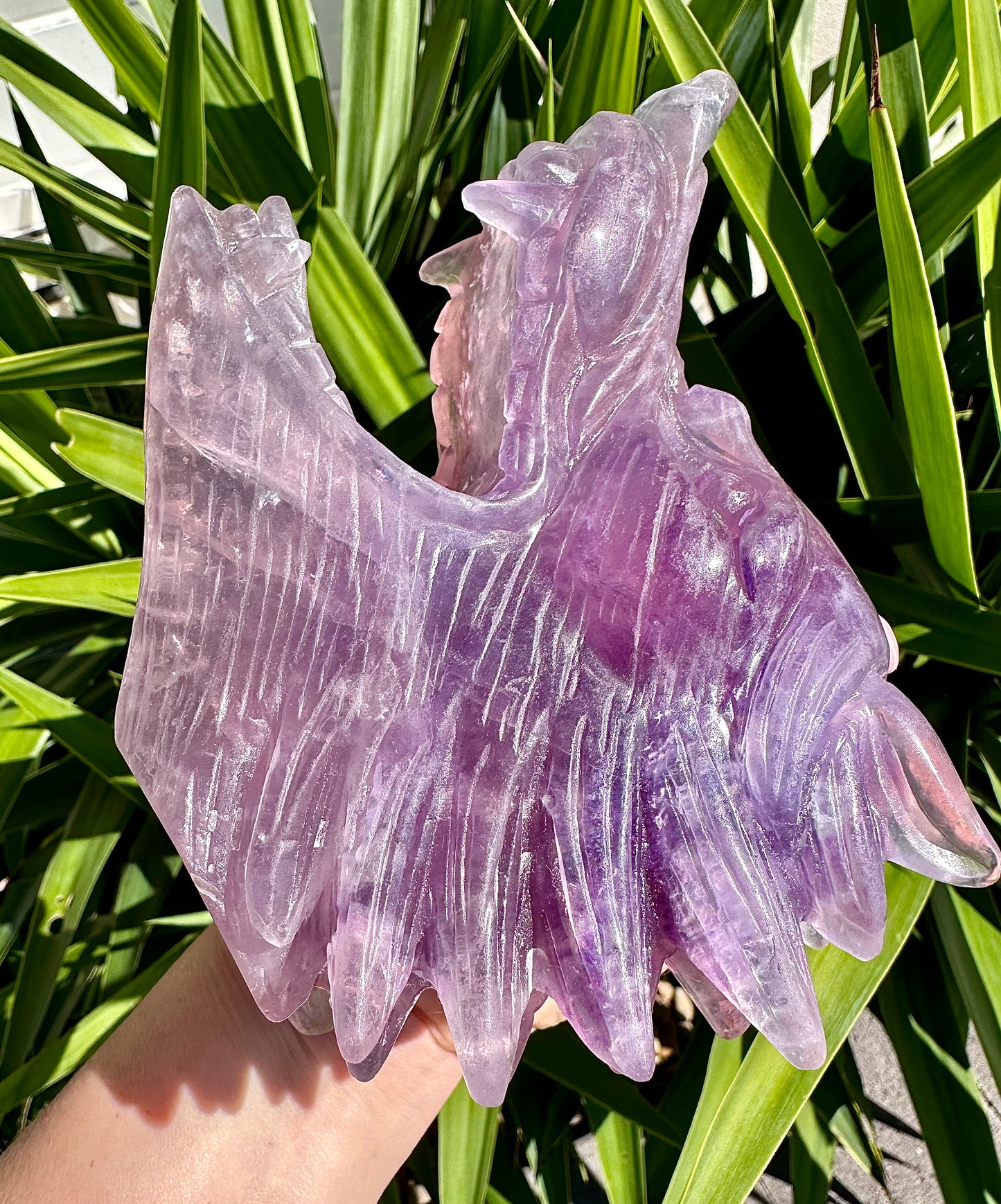 ⚜️ SALE ⚜️Absolutely Amazing & Perfect Huge 1.47Kg Purple Fluorite Wolf Head Carving with Rainbows & Clarity