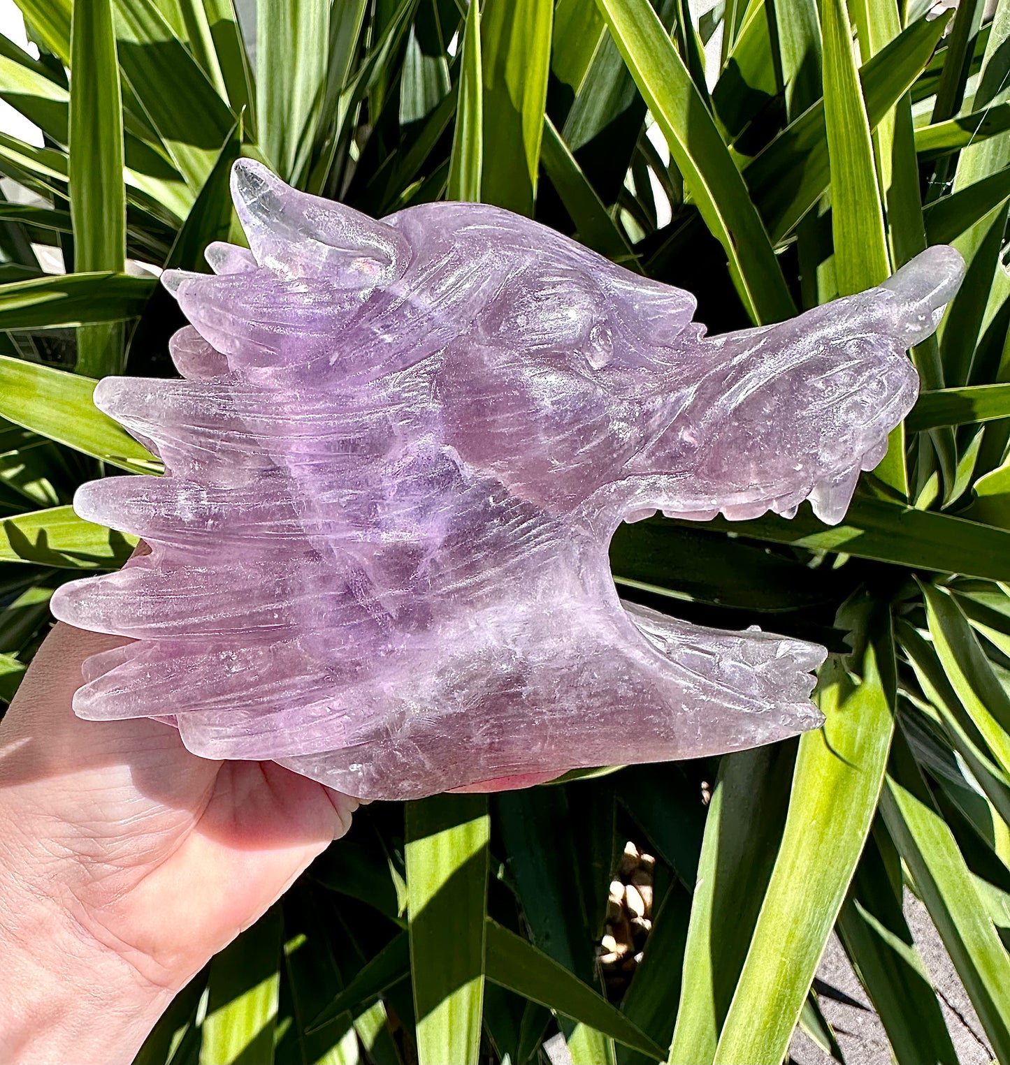 ⚜️ SALE ⚜️Absolutely Amazing & Perfect Huge 1.47Kg Purple Fluorite Wolf Head Carving with Rainbows & Clarity
