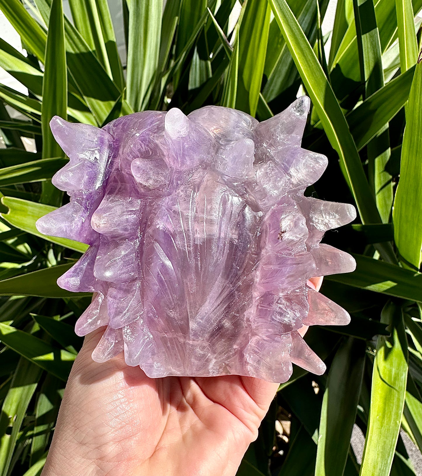 ⚜️ SALE ⚜️Absolutely Amazing & Perfect Huge 1.47Kg Purple Fluorite Wolf Head Carving with Rainbows & Clarity