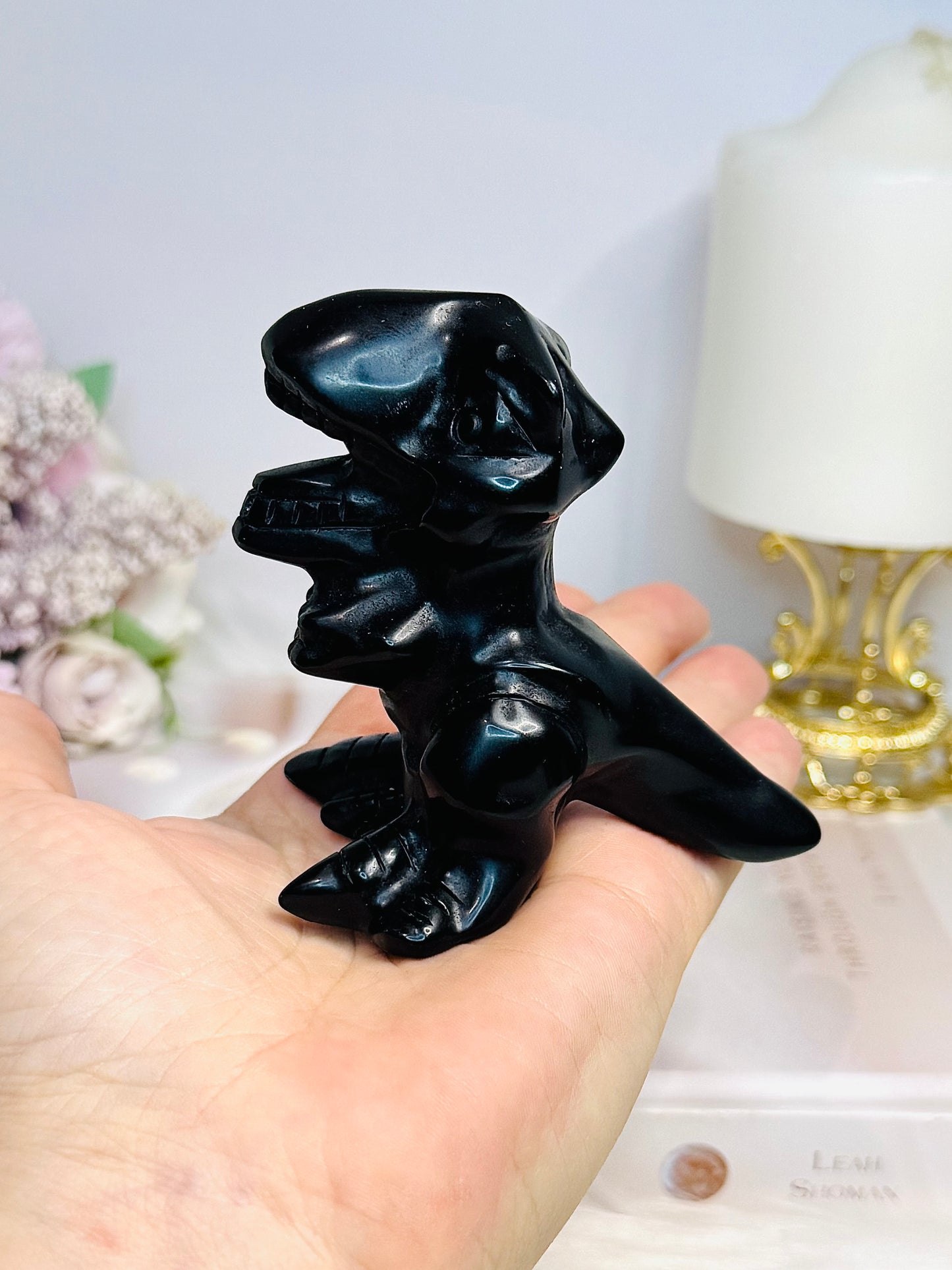 Black Obsidian Dinosaur 8cm