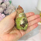 Money Agate Carved Bear 8cm