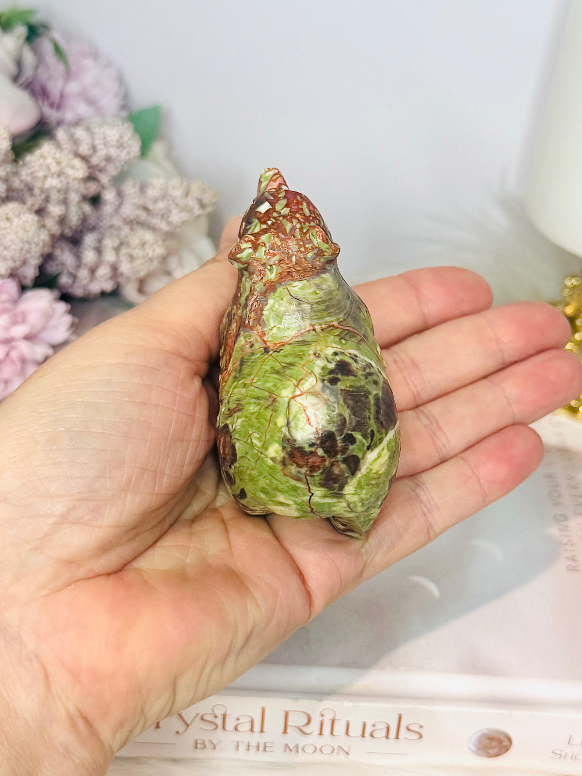 Money Agate Carved Bear 8cm
