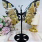 Large Volcano Agate Butterfly Wings UV Reactive on Stand 22cm