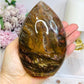 Large Petrified Wood Freeform 13cm 720g