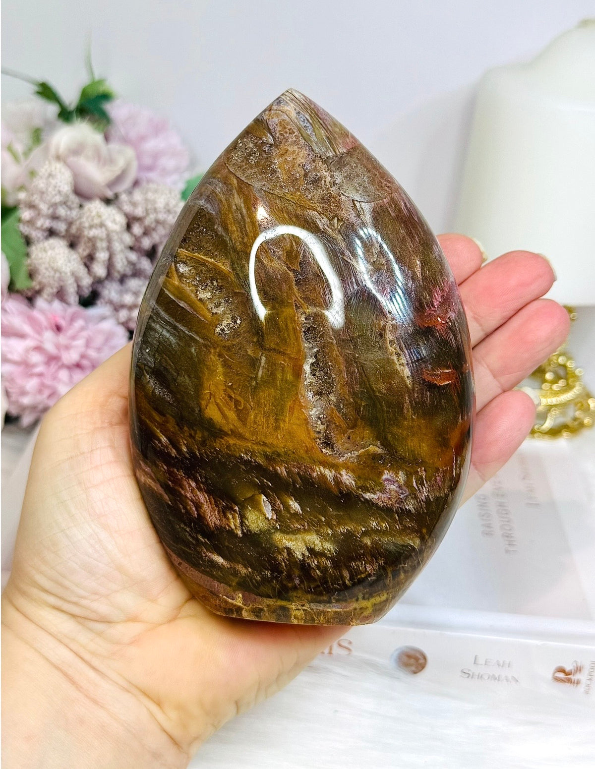 Large Petrified Wood Freeform 13cm 720g