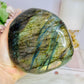 Large Labradorite Freeform Full of Flash 1.26kg