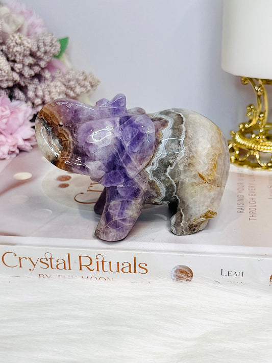Amethyst X Mexican Lace Agate Elephant 11cm