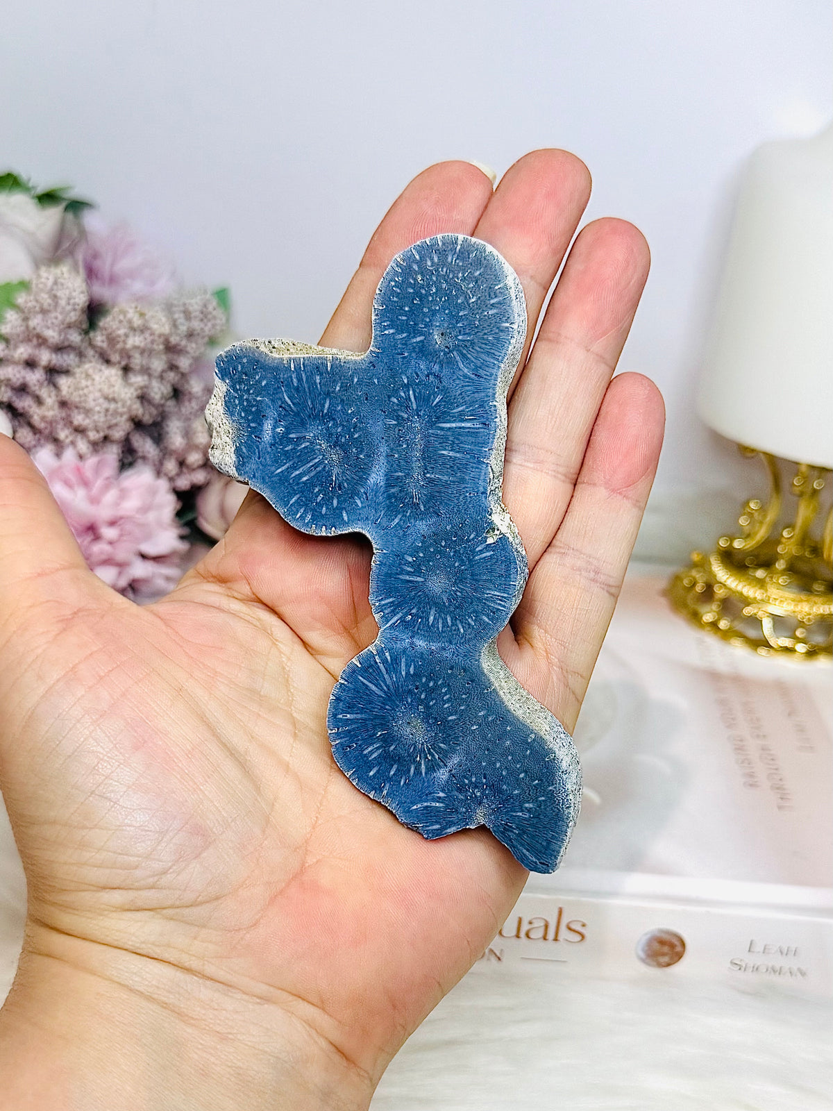Blue Coral Fossil Specimen 11cm