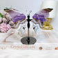 Crazy Lace Amethyst Butterfly Wings on Stand 11cm