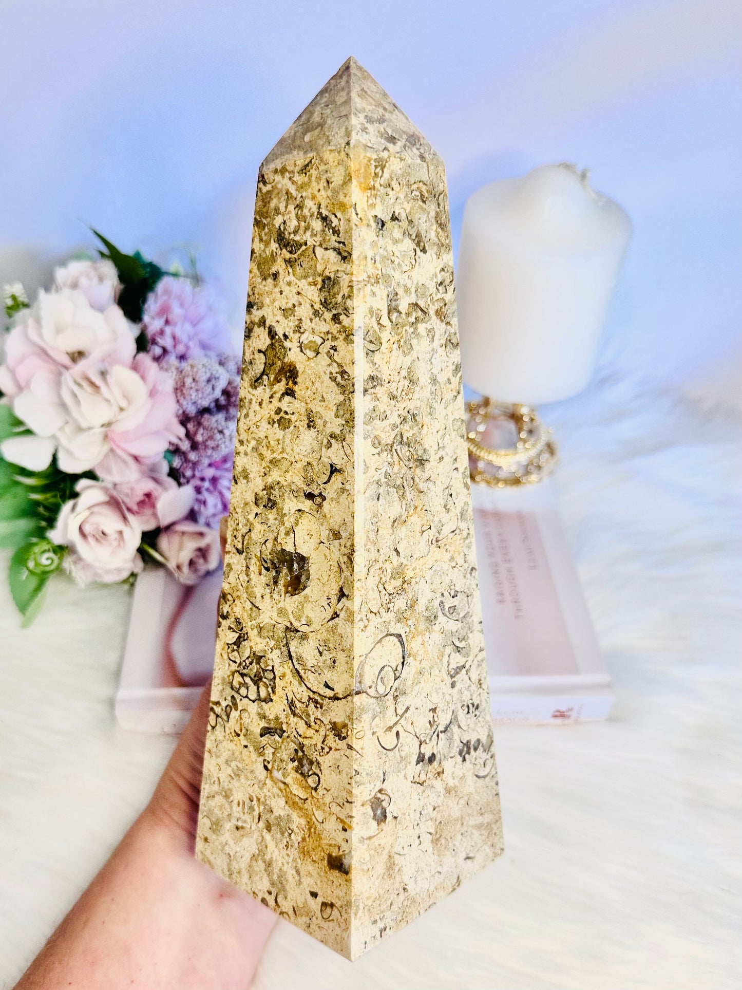 Huge 25cm Chunky 2KG Coral Fossil Onyx Tower