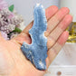 Blue Coral Fossil Slab Specimen 10.5cm
