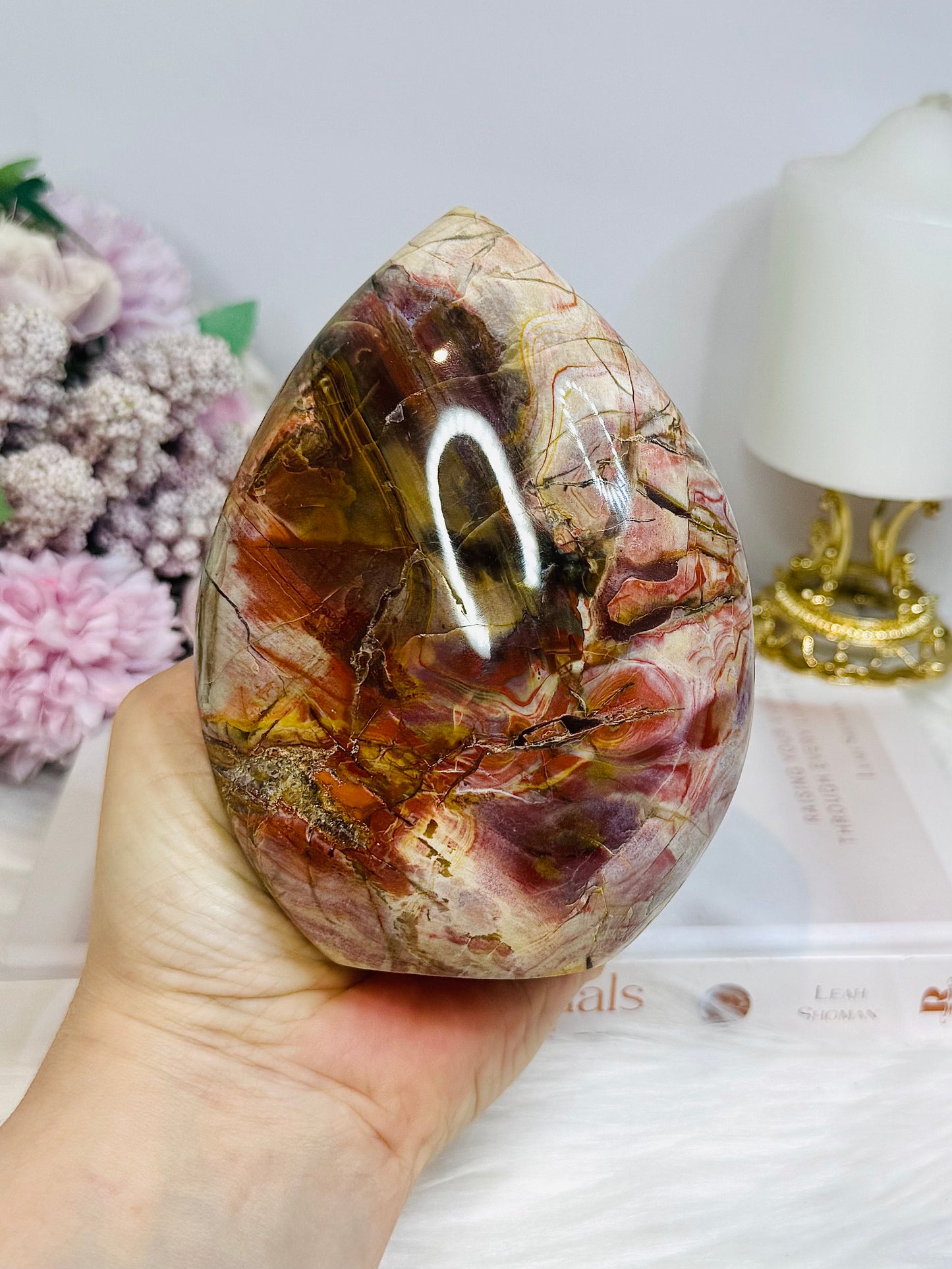 Large Petrified Wood Freeform 13cm 692g