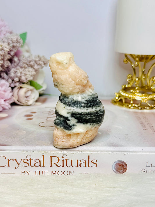 Pink Zebra Jasper Skull with Owl 7.5cm