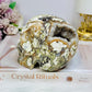 Large Money Agate Druzy Skull 751g