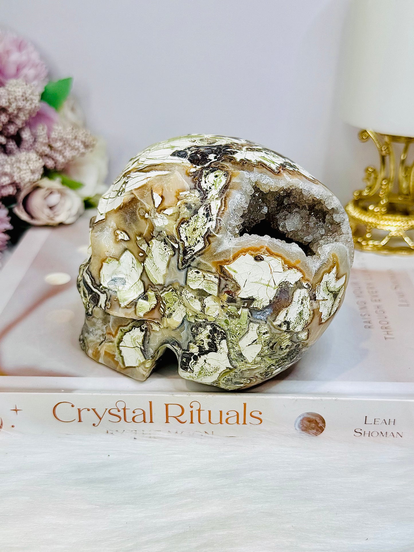 Large Money Agate Druzy Skull 751g