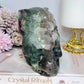 Large Fluorite Carved Skull with Bear Head 1.68KG