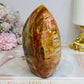 Large Petrified Wood Freeform 11.5cm 710g