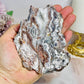 Mexican Lace Agate Slab on Stand 11cm